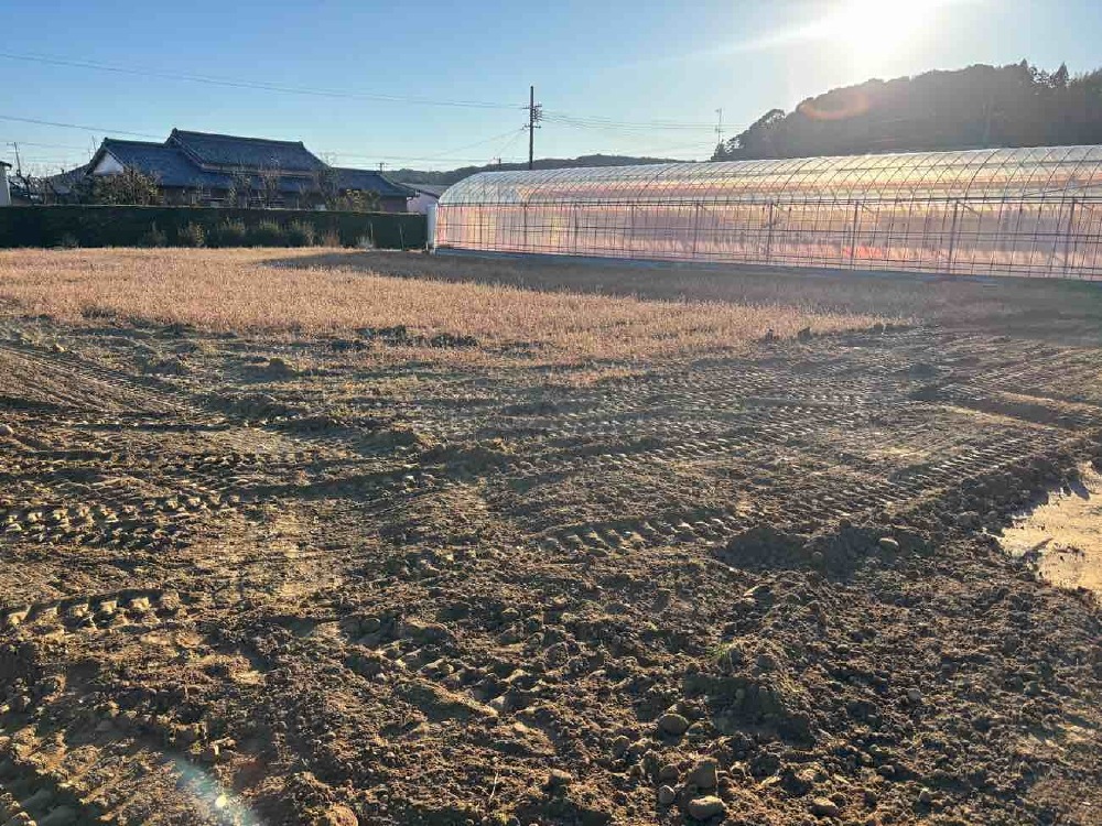 埋戻し、転圧途中