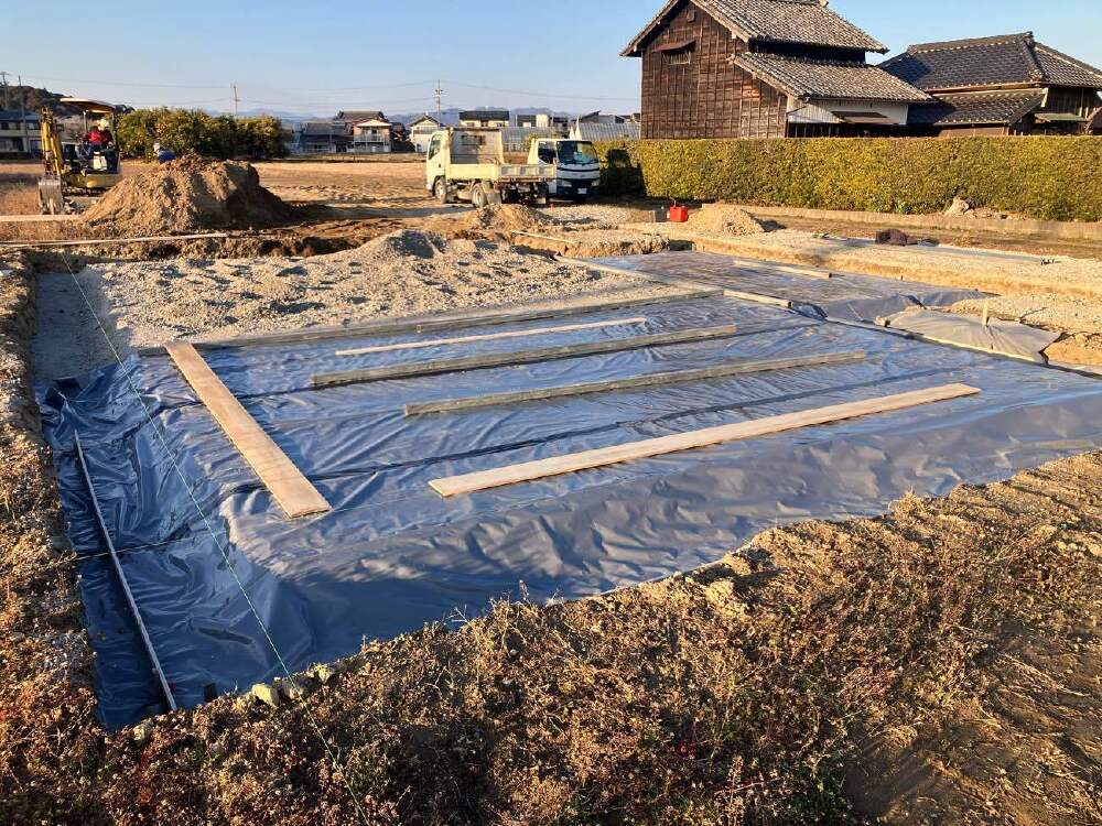 ターミダンシート