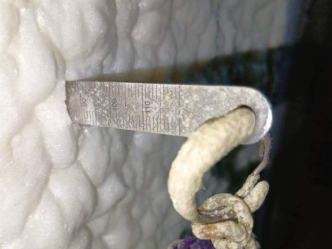 吹付断熱の施工